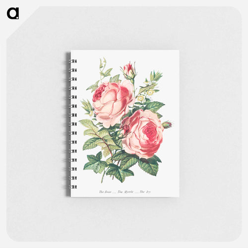 The Rose, the Myrtle and the Ivy from The Language of Flowers, or, Floral Emblems of Thoughts, Feelings, and Sentiments
 - Flower Language Memo.