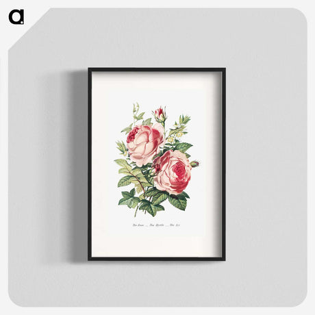 1-2_The-Language-of-Flowers_blk