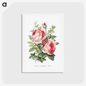 1-2_The-Language-of-Flowers_hagaki