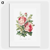 1-2_The-Language-of-Flowers_picture