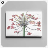1-2_The-Lilies_canvas