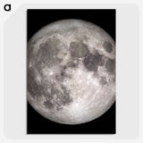 1-2_The-Moon_picture-crop