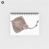1-2_The-Natural-History-of-British-Fishes_memo