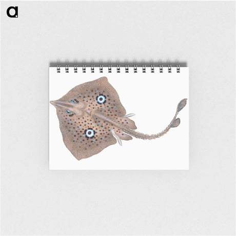 1-2_The-Natural-History-of-British-Fishes_memo