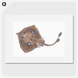 1-2_The-Natural-History-of-British-Fishes_picture