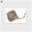 1-2_The-Natural-History-of-British-Fishes_postcard