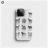 1-2_The-Open-Door-to-Independence_phone