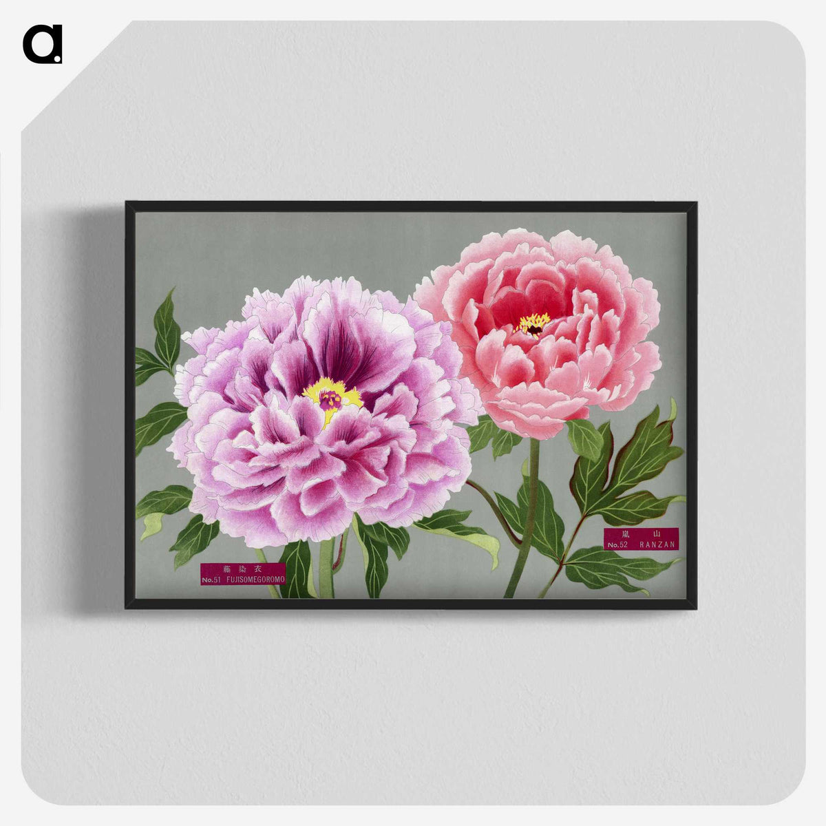 1-2_The-Picture-Book-of-Peonies_blk-crop