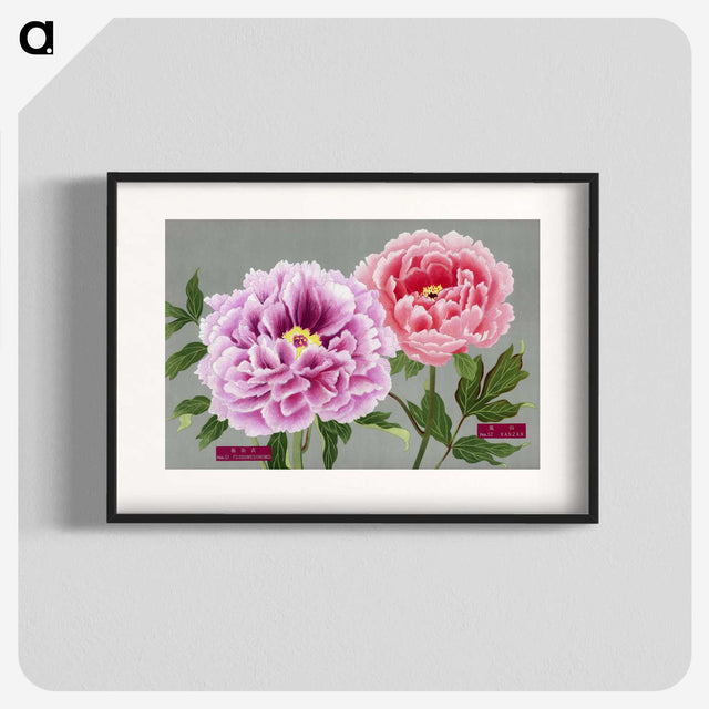 1-2_The-Picture-Book-of-Peonies_blk