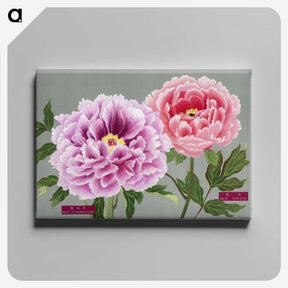 1-2_The-Picture-Book-of-Peonies_canvas