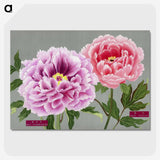 1-2_The-Picture-Book-of-Peonies_picture-crop