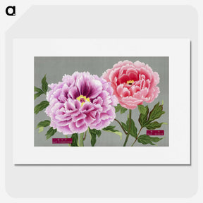 1-2_The-Picture-Book-of-Peonies_picture
