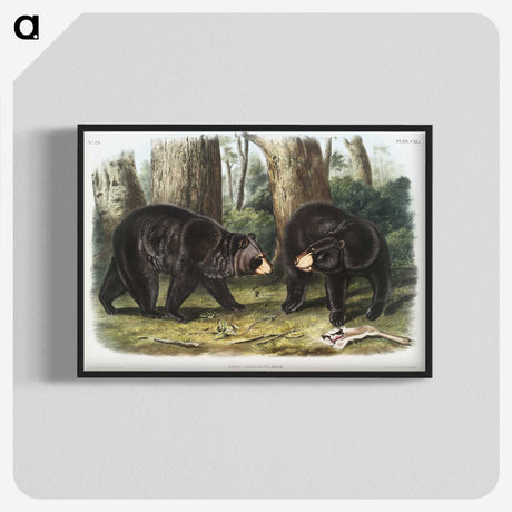 1-2_The-Viviparous-Quadrupeds_blk-crop