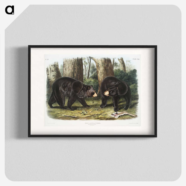 1-2_The-Viviparous-Quadrupeds_blk