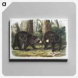 1-2_The-Viviparous-Quadrupeds_canvas