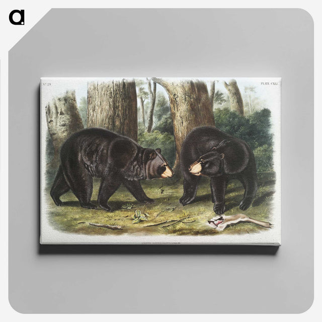 1-2_The-Viviparous-Quadrupeds_canvas