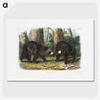 1-2_The-Viviparous-Quadrupeds_picture