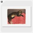 1-2_Theophile-Alexandre-Steinlen_picture