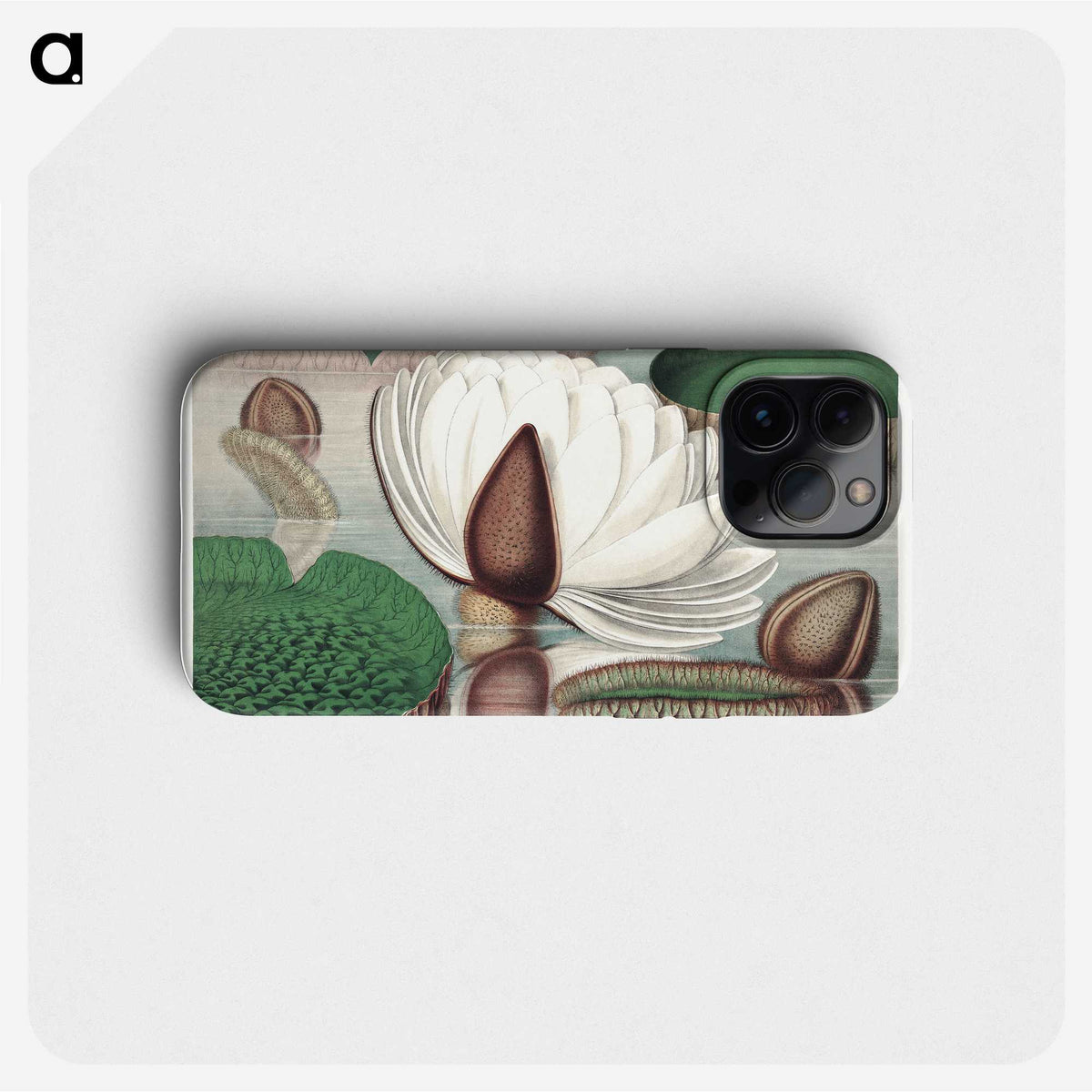 1-2_Victoria-Regia_phone