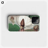 1-2_Victoria-Regia_phone