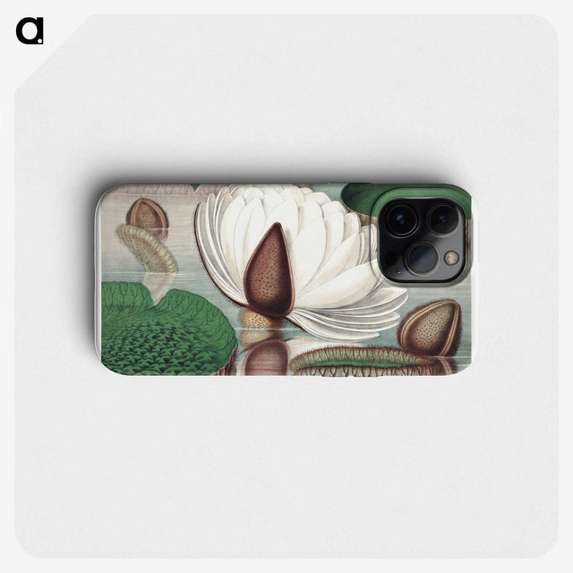 1-2_Victoria-Regia_phone