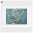 1-2_Vincent-van-Gogh_picture