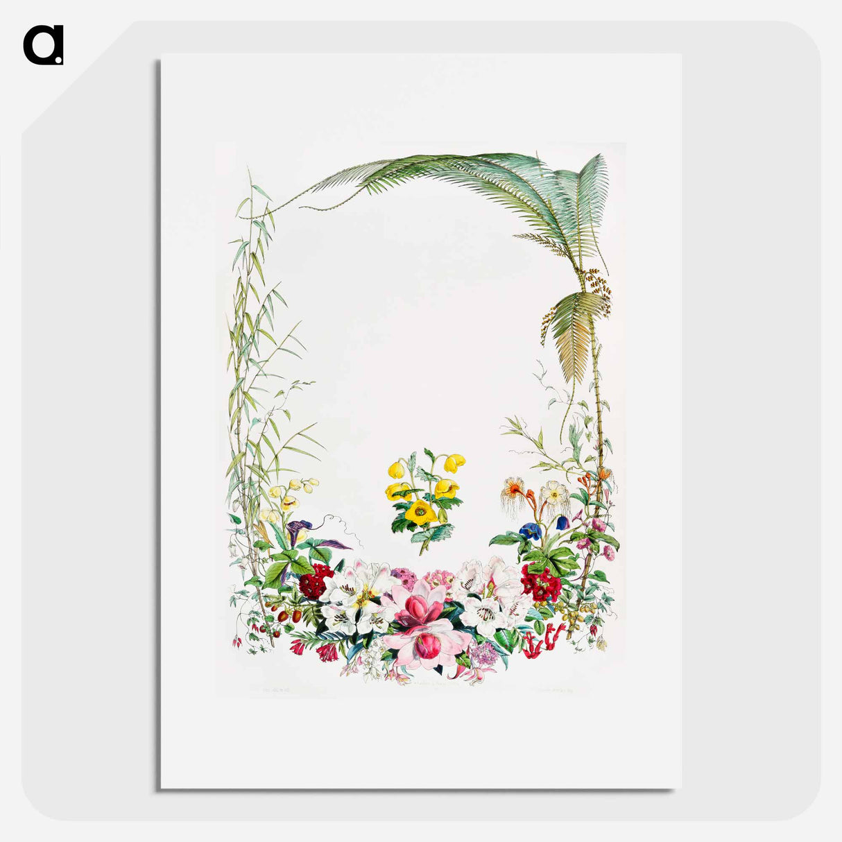 Title page from Illustrations of Himalayan plants - ウォルター フッド フィッチ Poster.