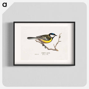 アートポスター-Great Tit - ヴィルヘルム フォン ライト Poster.