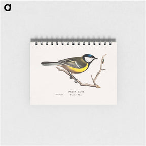 アートメモ帳-Great Tit - ヴィルヘルム フォン ライト Memo.