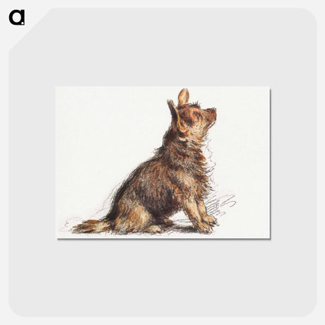 アートポストカード-Aesthetic watercolor sitting Terrier - ウィリアム ヘンリー ハント Postcard.