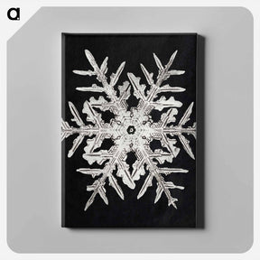 アートパネル-Wilson Bentley's Snowflake 332 - ウィルソン ベントレー Canvas.