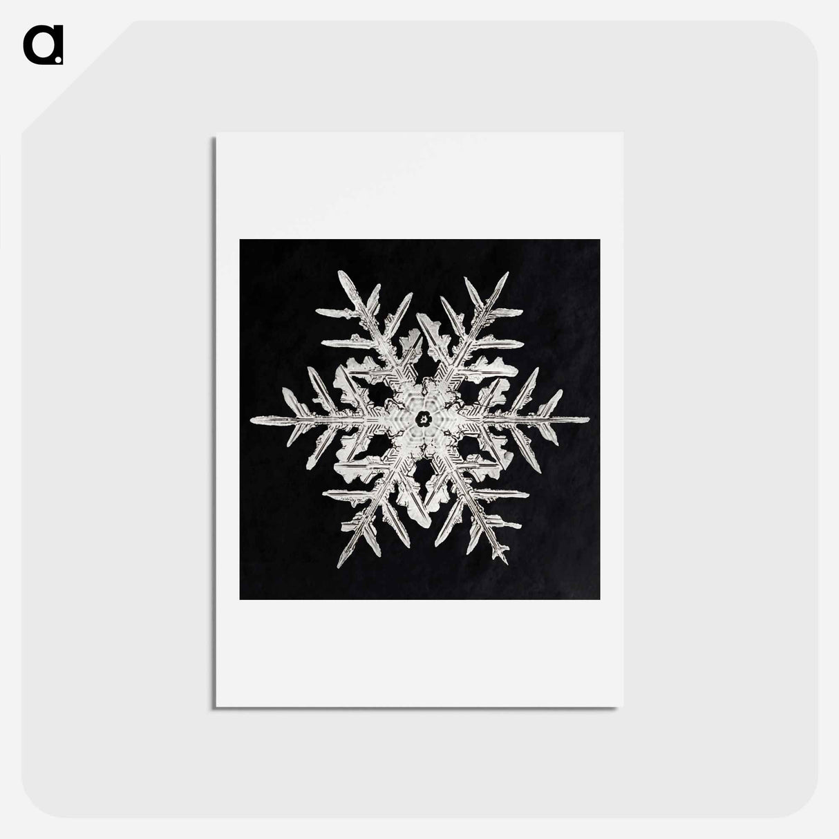 アートポストカード-Wilson Bentley's Snowflake 332 - ウィルソン ベントレー Postcard.