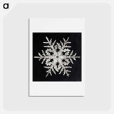 アートポストカード-Wilson Bentley's Snowflake 332 - ウィルソン ベントレー Postcard.