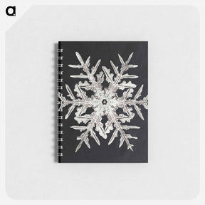 アートメモ帳-Wilson Bentley's Snowflake 332 - ウィルソン ベントレー Memo.