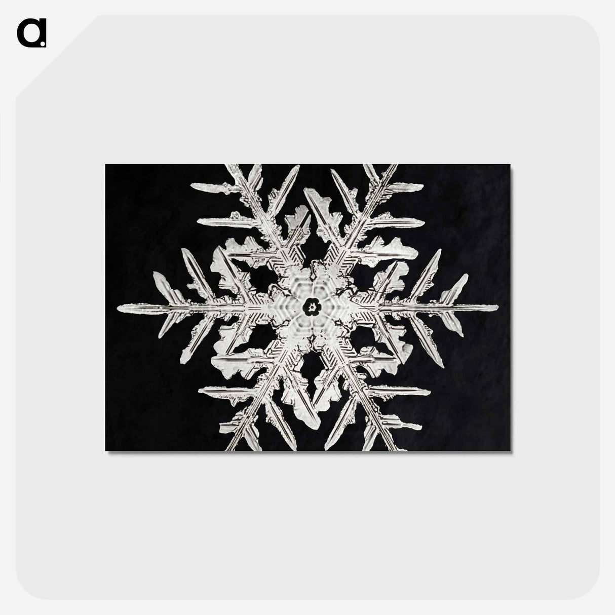 アートポストカード-Wilson Bentley's Snowflake 332 - ウィルソン ベントレー Postcard.