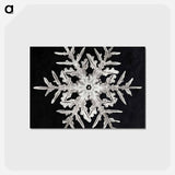 アートポストカード-Wilson Bentley's Snowflake 332 - ウィルソン ベントレー Postcard.
