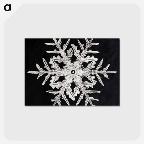 アートポストカード-Wilson Bentley's Snowflake 332 - ウィルソン ベントレー Postcard.