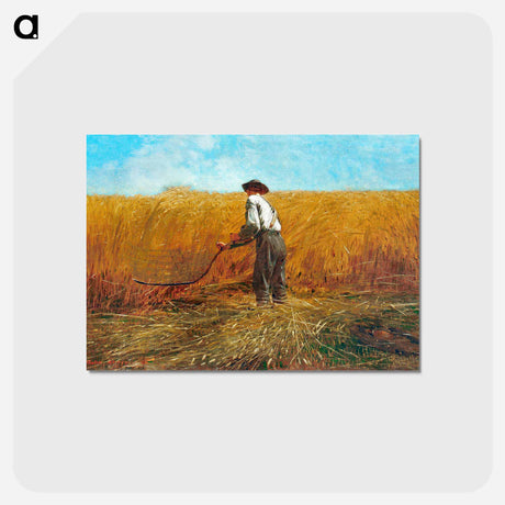 アートポストカード-The Veteran in a New Field - ウィンスロー ホーマー Postcard.