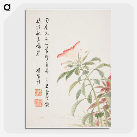 1-2_Xiang-Shengmo_picture-crop