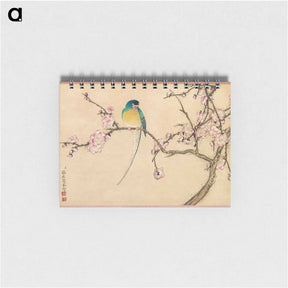 アートメモ帳-Bird with Plum Blossoms - 張若愛 Memo.