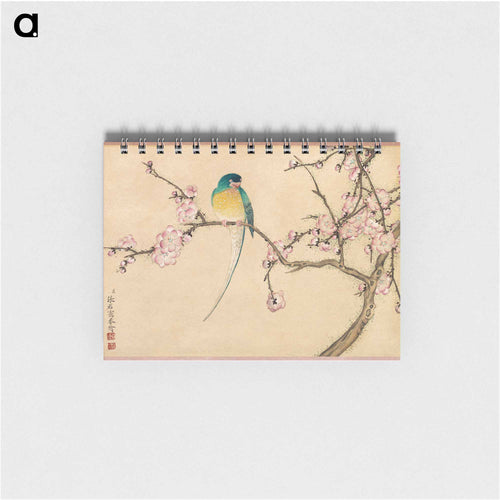 Bird with Plum Blossoms - 張若愛 Memo.