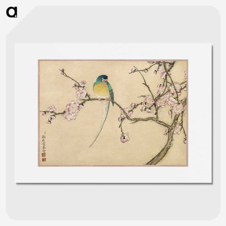 1-2_Zhang-Ruoai_picture