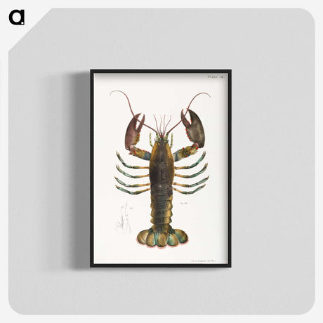1-2_Zoology-of-New-York_blk-crop