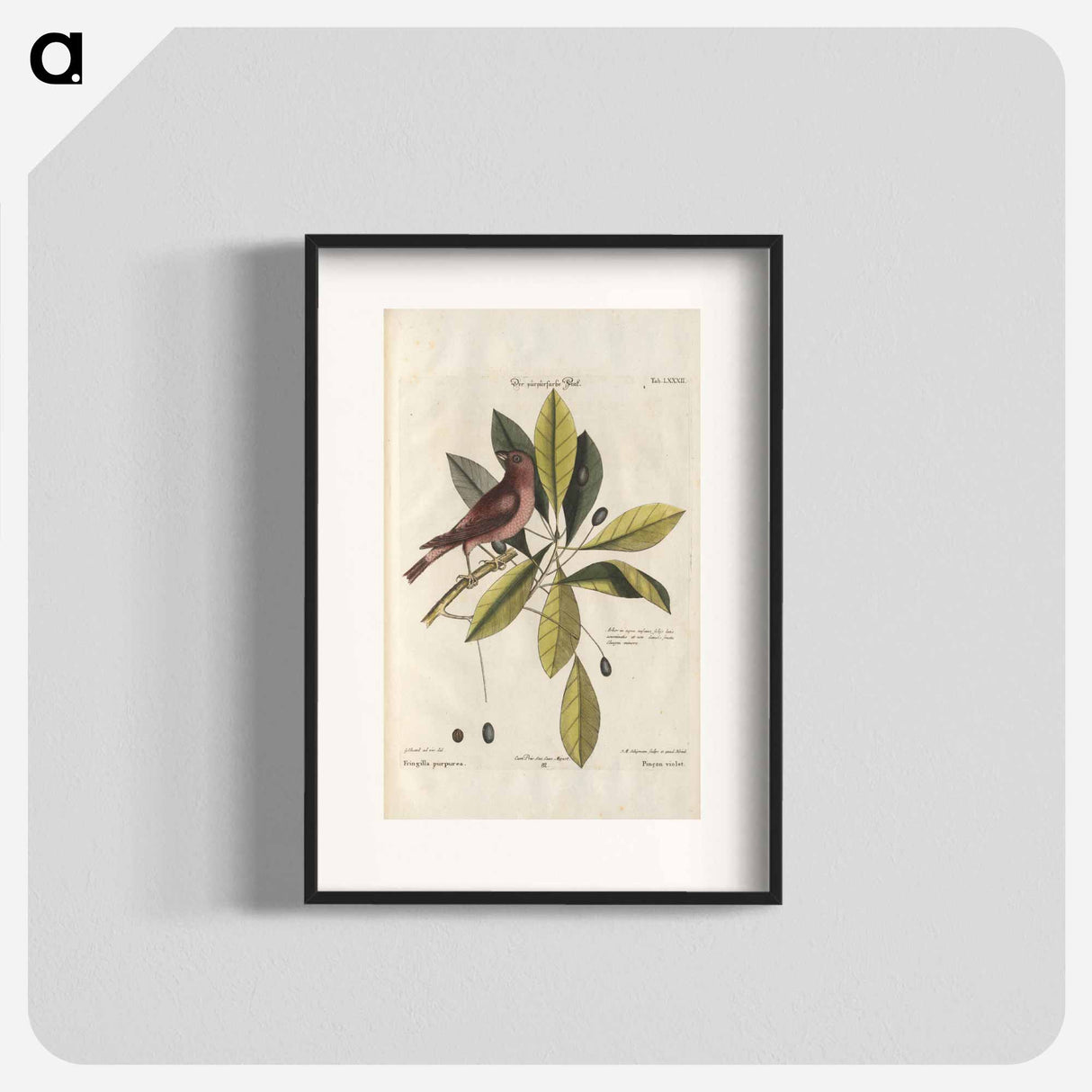 Bird and plants illustration - イー ララ Poster.