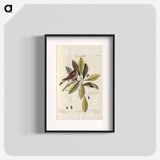 Bird and plants illustration - イー ララ Poster.