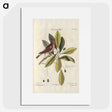 1-2_e-rara_picture