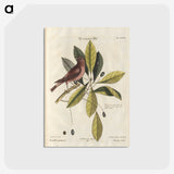 1-2_e-rara_postcard