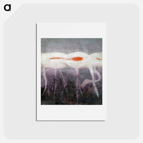 アートポストカード-White Flamingoes - アボット ハンダーソン セイヤー Postcard.