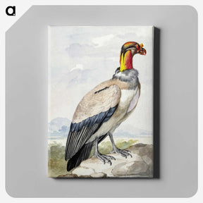 1-30_Aert-Schouman_canvas