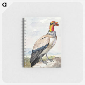 アートメモ帳-King vulture - アールト シューマン Memo.